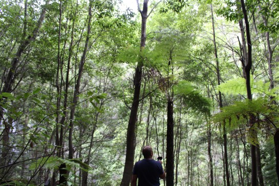 Recording in Bundanoon, Australia. Gotta love the Sony M10.